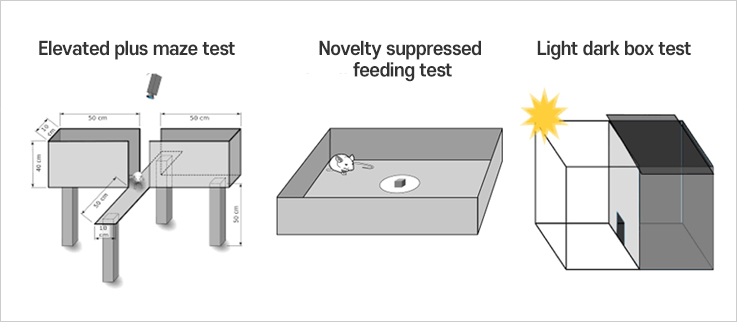Elevated plus maze test, Novelty suppressed feeding test, Light dark box test 